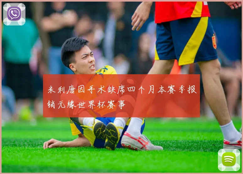 米利唐因手术缺席四个月本赛季报销无缘世界杯赛事